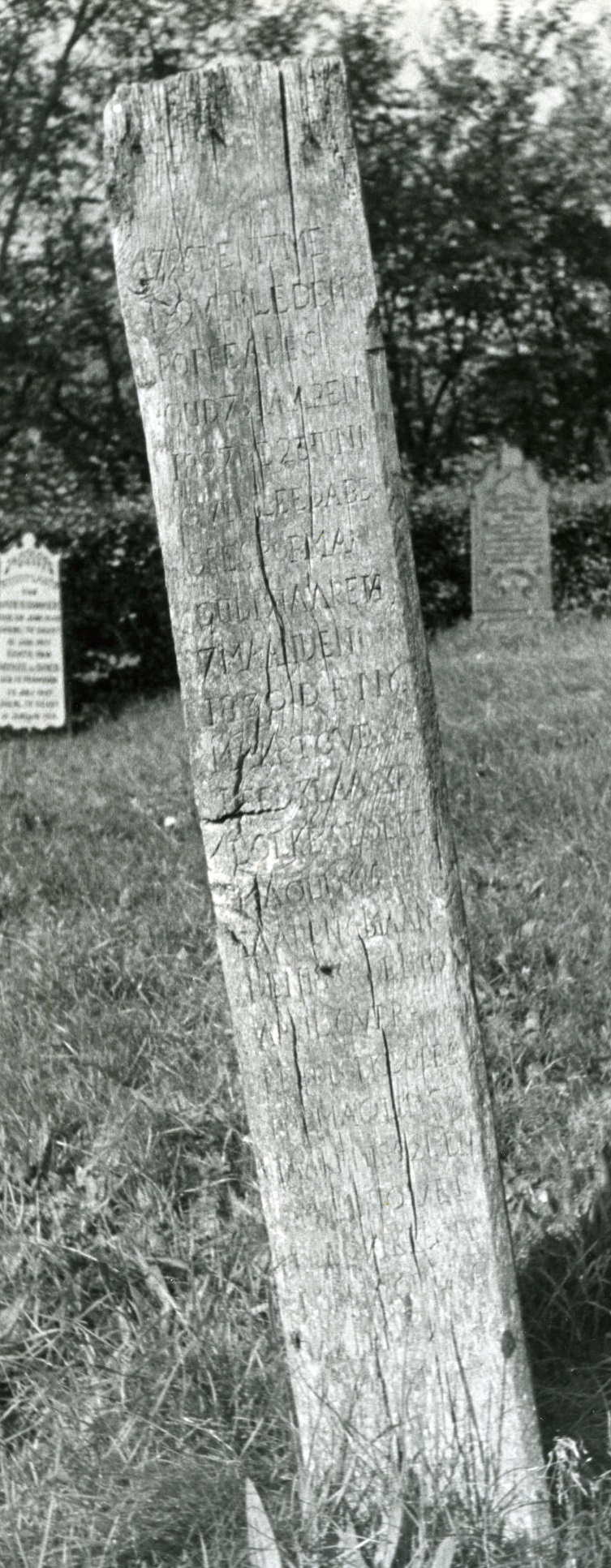 1795 den 17 mey is overleden Poppe Abes oud 75 jaaren
1807 de 23 juni overleed Abe Poppes Postma oud 19 jaaren 7 maanden 1795 den 17 mey is overleden Poppe Abes oud 75 jaaren
1807 de 23 juni overleed Abe Poppes Postma oud 19 jaaren 7 maanden