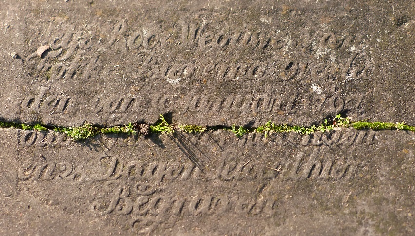 Tetje Roos weduwe van Fokke Bienema overl[eden] den den 10 januari 178[3?]oud .. jaaren . maand[en] en 25 dagen leid alhier begraven