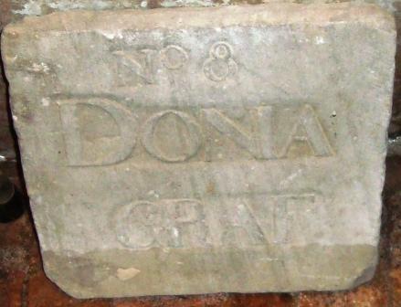 No 8 Donia graf