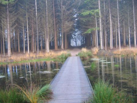 Tijdens een wandeling in Bakkeveen, 2002