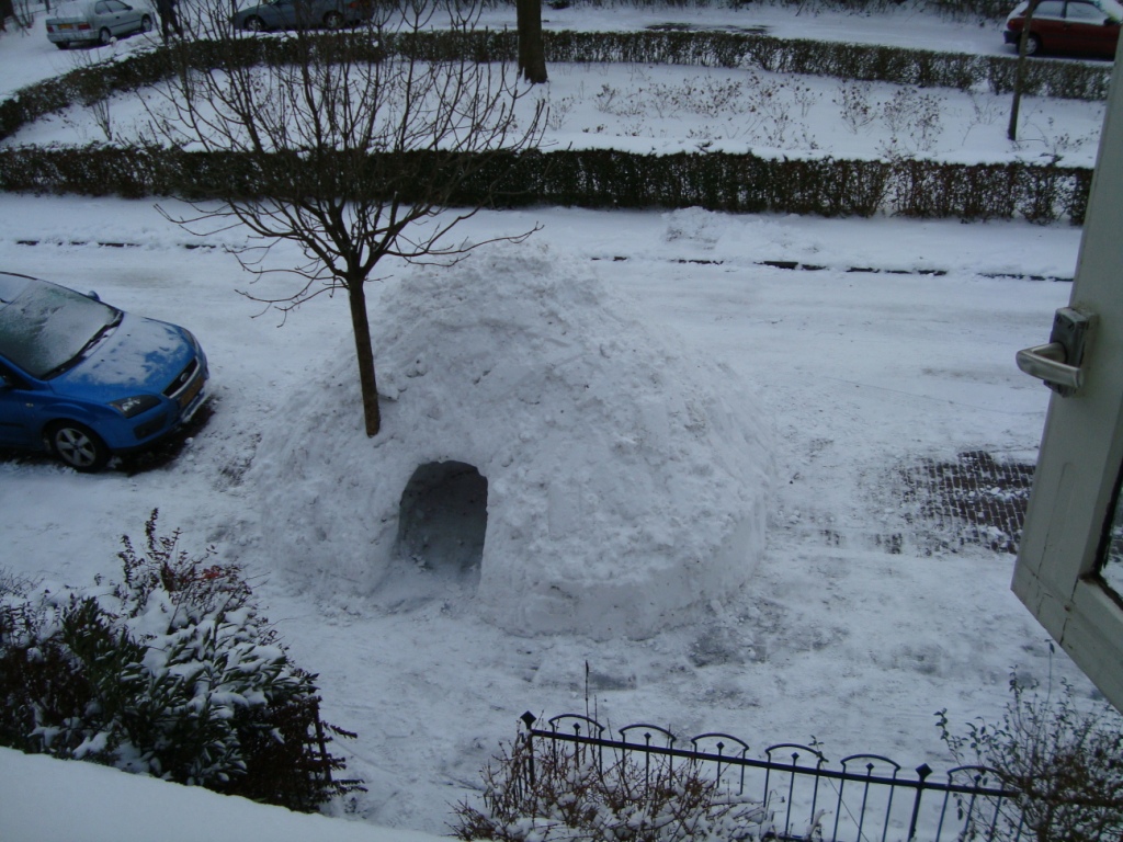 Sneeuwhut in de winter, 2010